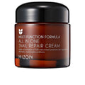 MIZON ALL IN ONE snail repair cream 75 ml