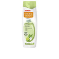 NATURAL HONEY WASH & GO champú graso 400 ml