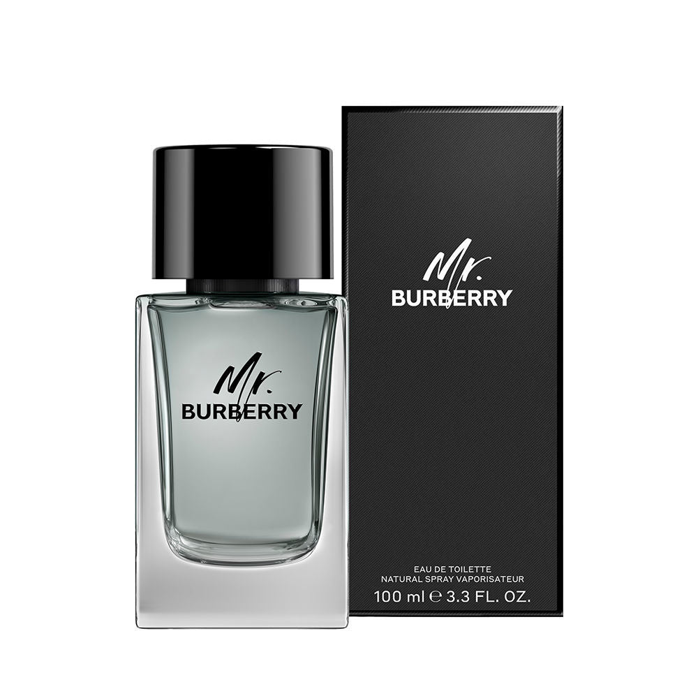 BURBERRY MR. BURBERRY edt vapo 100 ml